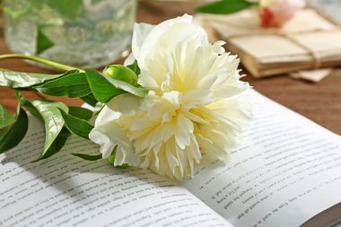 çiçek ve açık kitap 