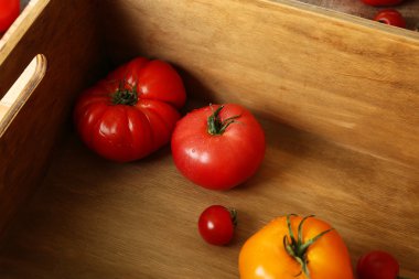 Su damlaları ile farklı domates