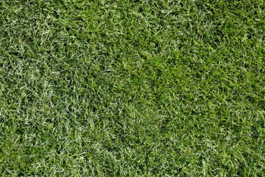 Oyunlar için yeşil alan