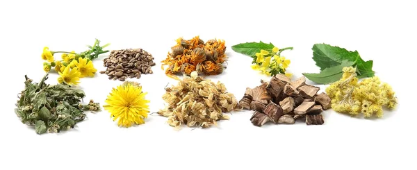 Natural flower and herb selection — Stock Photo, Image