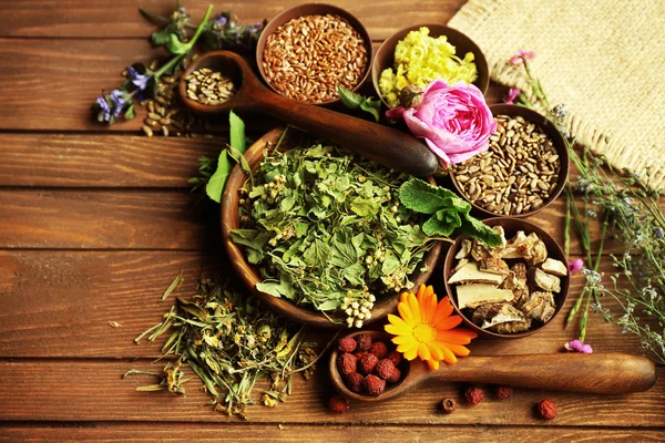 Seleção de ervas usadas na medicina herbal — Fotografia de Stock