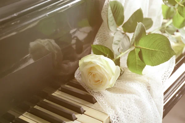 Rosa branca em teclas de piano — Fotografia de Stock