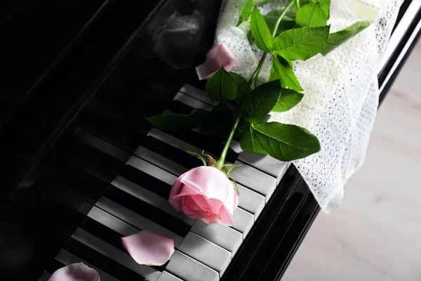 Pink rose on piano keys — Stock Photo, Image