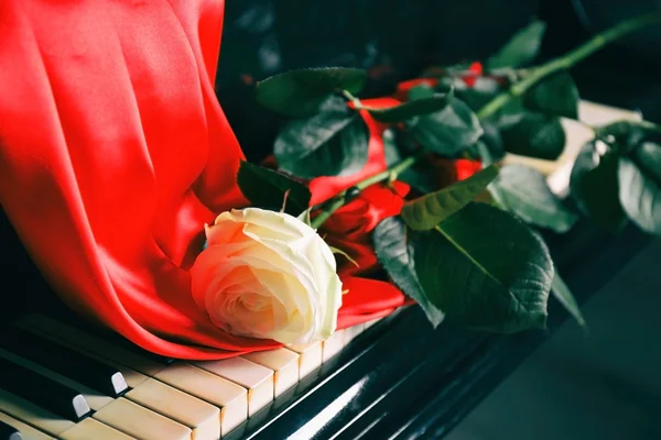 Rosa branca em teclas de piano — Fotografia de Stock