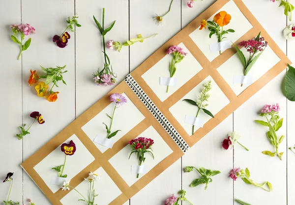 Сбор цветов в блокноте — стоковое фото