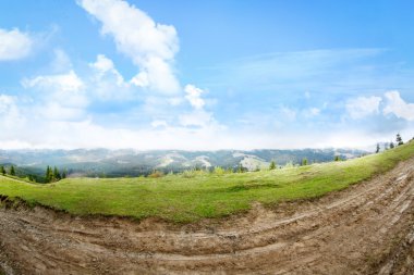 Yaz orman dağ yamaçlarında
