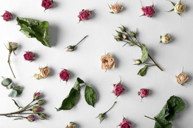 Gül tomurcukları kurutulmuş