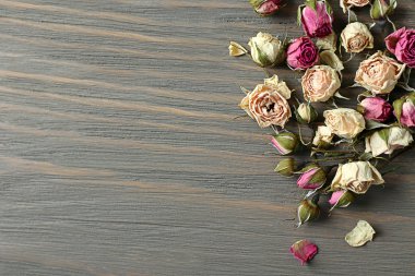 Gül tomurcukları kurutulmuş