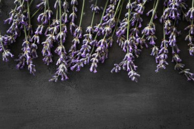 Lavanta masada demet