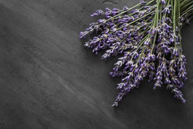 Lavanta masada demet