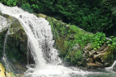 Karpat dağlarında güzel bir şelale
