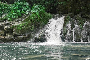 Karpat dağlarında güzel bir şelale