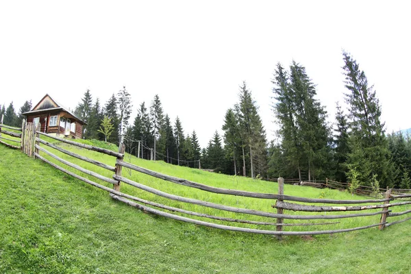 Holzzaun auf dem grünen Hügel — Stockfoto