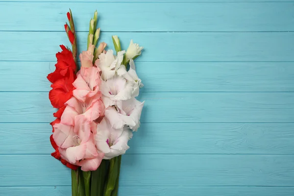 Hermosas flores de gladiolo — Foto de Stock