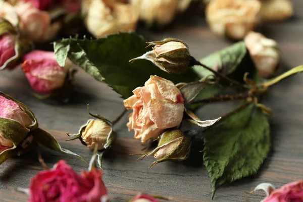 Сушеные розы — стоковое фото