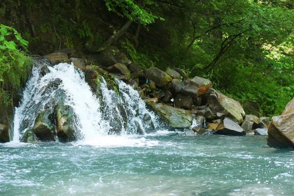 Beautiful waterfall in the Carpathian mountains — Stock Photo, Image