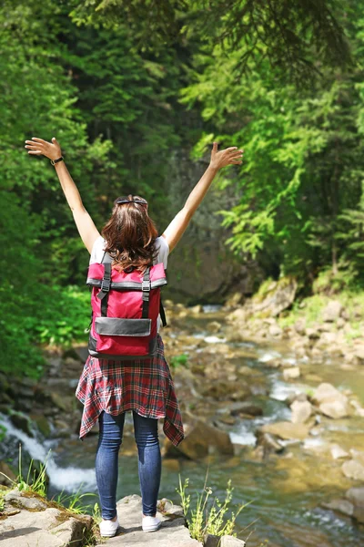 Turist bredvid fjällbäck — Stockfoto