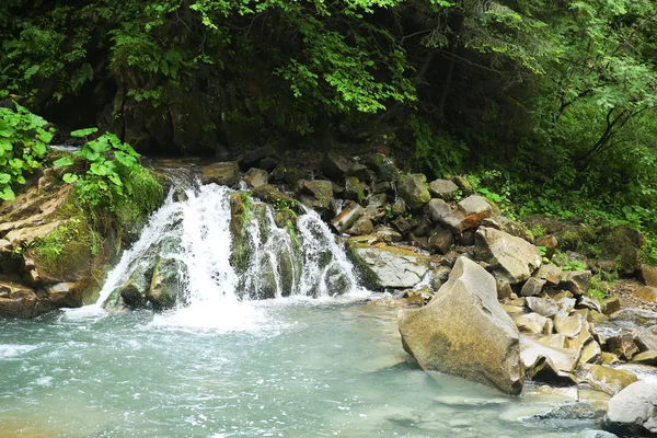 Beautiful waterfall in the Carpathian mountains — Stock Photo, Image