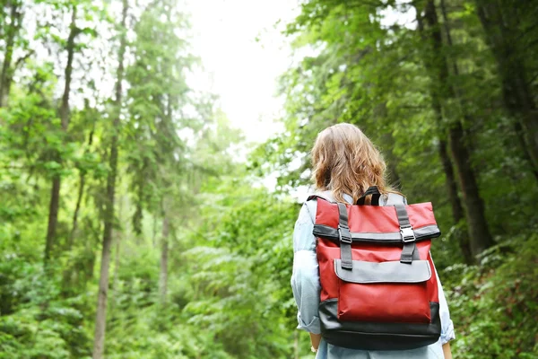 Viaggiatore ragazza nella foresta — Foto Stock