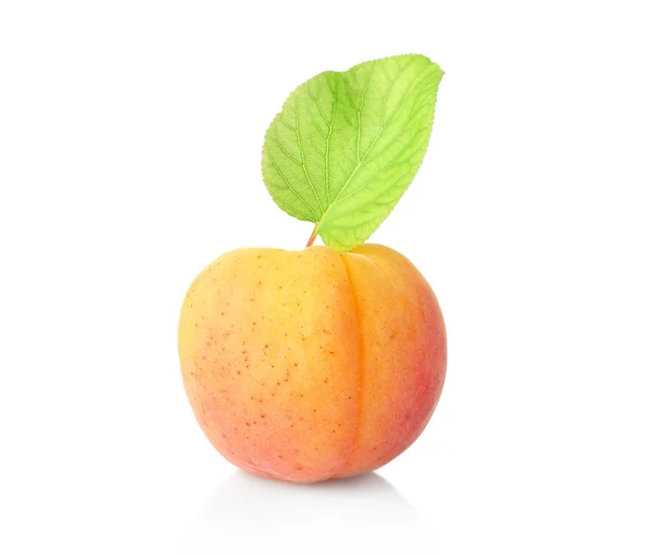 Свежий абрикос на белом — стоковое фото