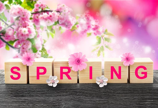 Palavra primavera em blocos de madeira — Fotografia de Stock
