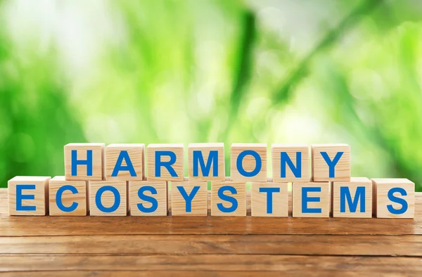 Tekst harmonie ecosystemen op houtblokken — Stockfoto