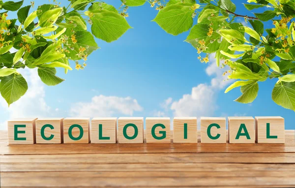 Word ecologische op houtblokken — Stockfoto