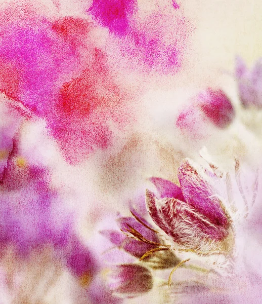 Mooie bloemen. Aquarel achtergrond. — Stockfoto