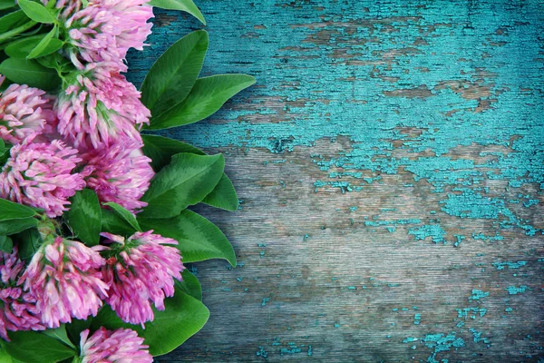 Beautiful flowers on vintage wooden background. — Stock Photo, Image