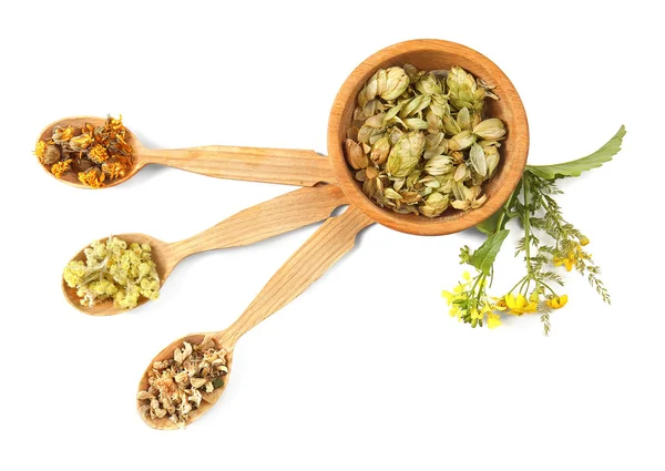 Natural flower and herb selection — Stock Photo, Image