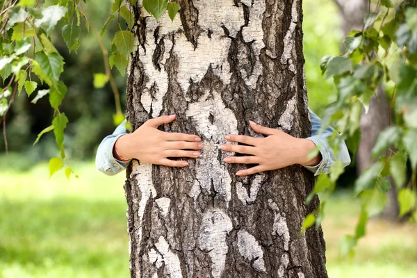 Mulher abraçando uma árvore grande — Fotografia de Stock