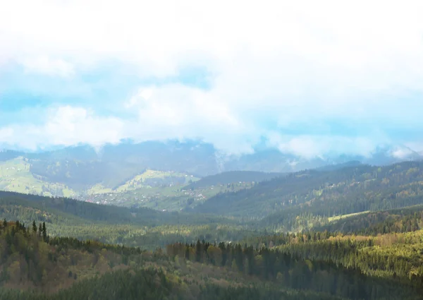 Bosque de verano en laderas de montaña — Foto de Stock