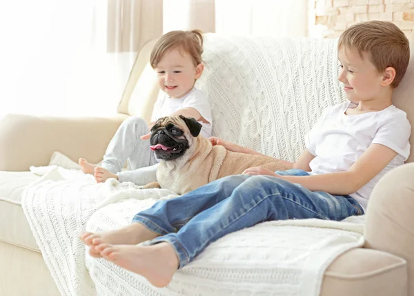 Bonito Menino Menina Com Pug Sofá — Fotografia de Stock