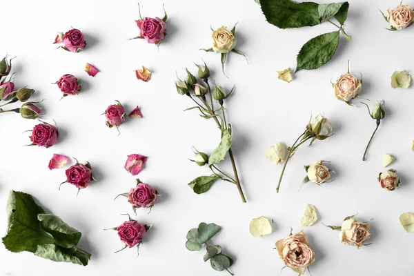 Dried rose buds on white — Stock Photo, Image