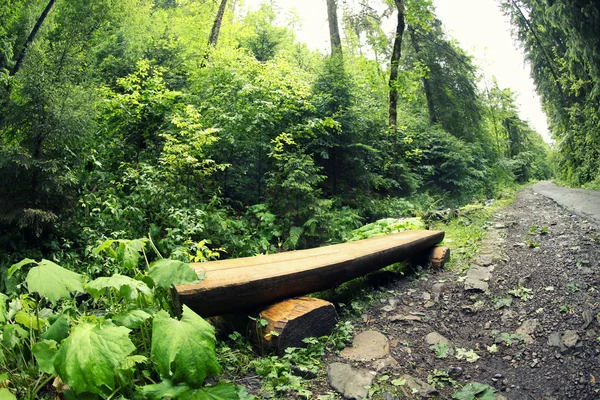 山林の木製ベンチ — ストック写真