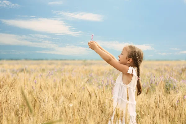Kleines Mädchen auf dem Feld — Stockfoto