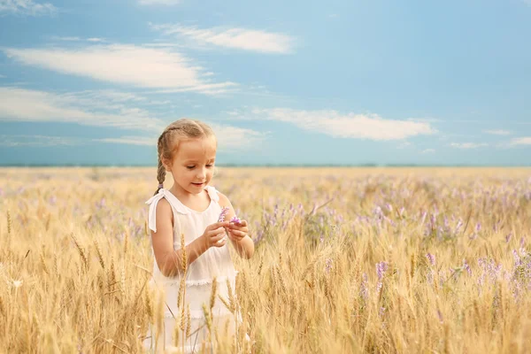 Bambina in campo — Foto Stock