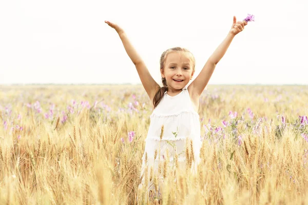 Kleines Mädchen auf dem Feld — Stockfoto