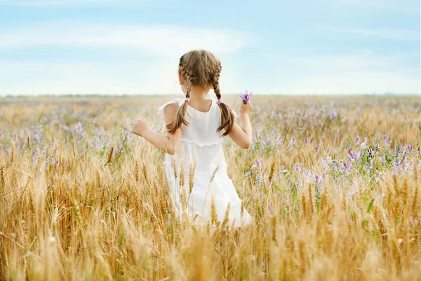 Kleines Mädchen auf dem Feld — Stockfoto