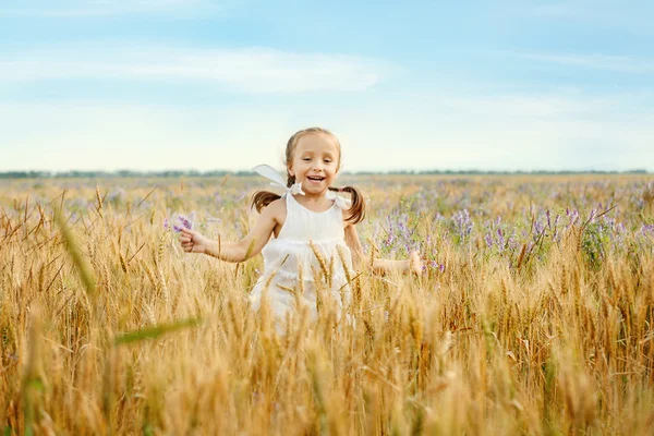 Bambina in campo — Foto Stock