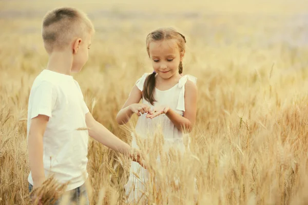 Счастливые дети в поле — стоковое фото