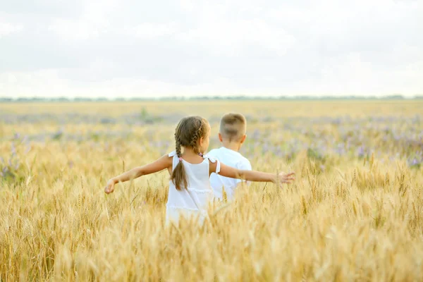 Glückliche Kinder auf dem Feld — Stockfoto