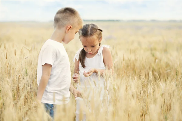 Niños felices en el campo —  Fotos de Stock