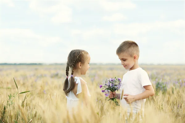 Glückliche Kinder auf dem Feld — Stockfoto