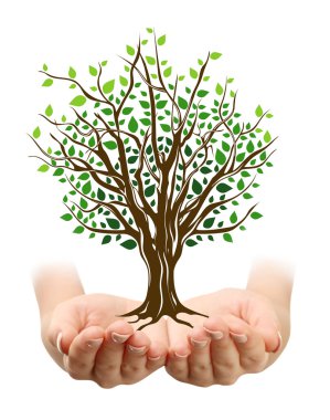 Erkek holding resimli ağaç eller 