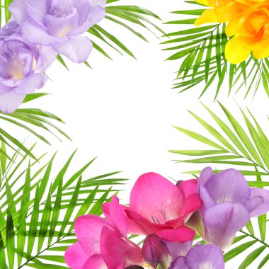 Çerçeve çiçek ve palmiye yaprakları 