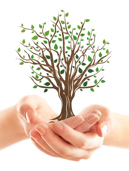 Female hands holding illustrated tree — Stock Photo, Image