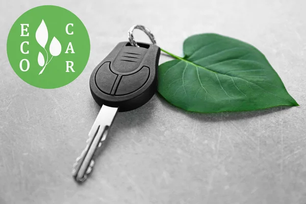 Car key with green leaf trinket — Stock Photo, Image