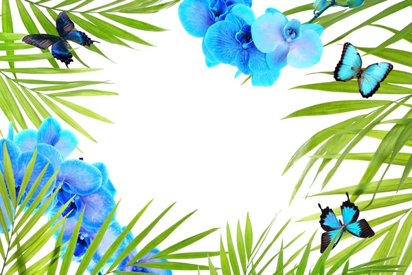 Rám z květin, motýlů a palmového listí — Stock fotografie