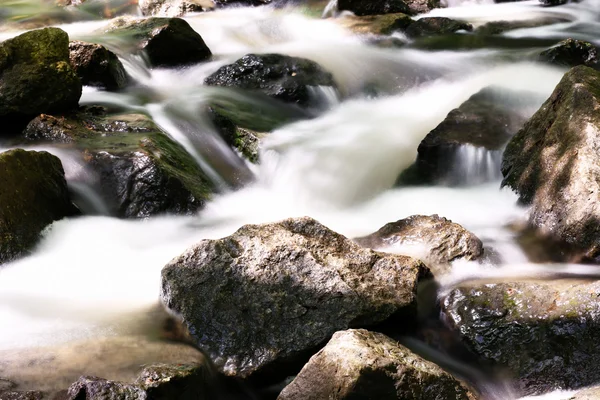 Creek with rocks in a forest — Stock Photo, Image